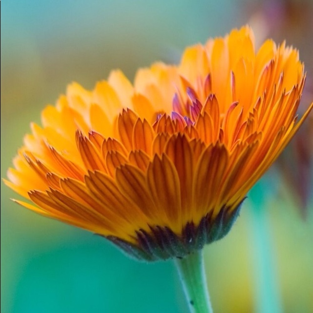 Meet your Posher, Marty